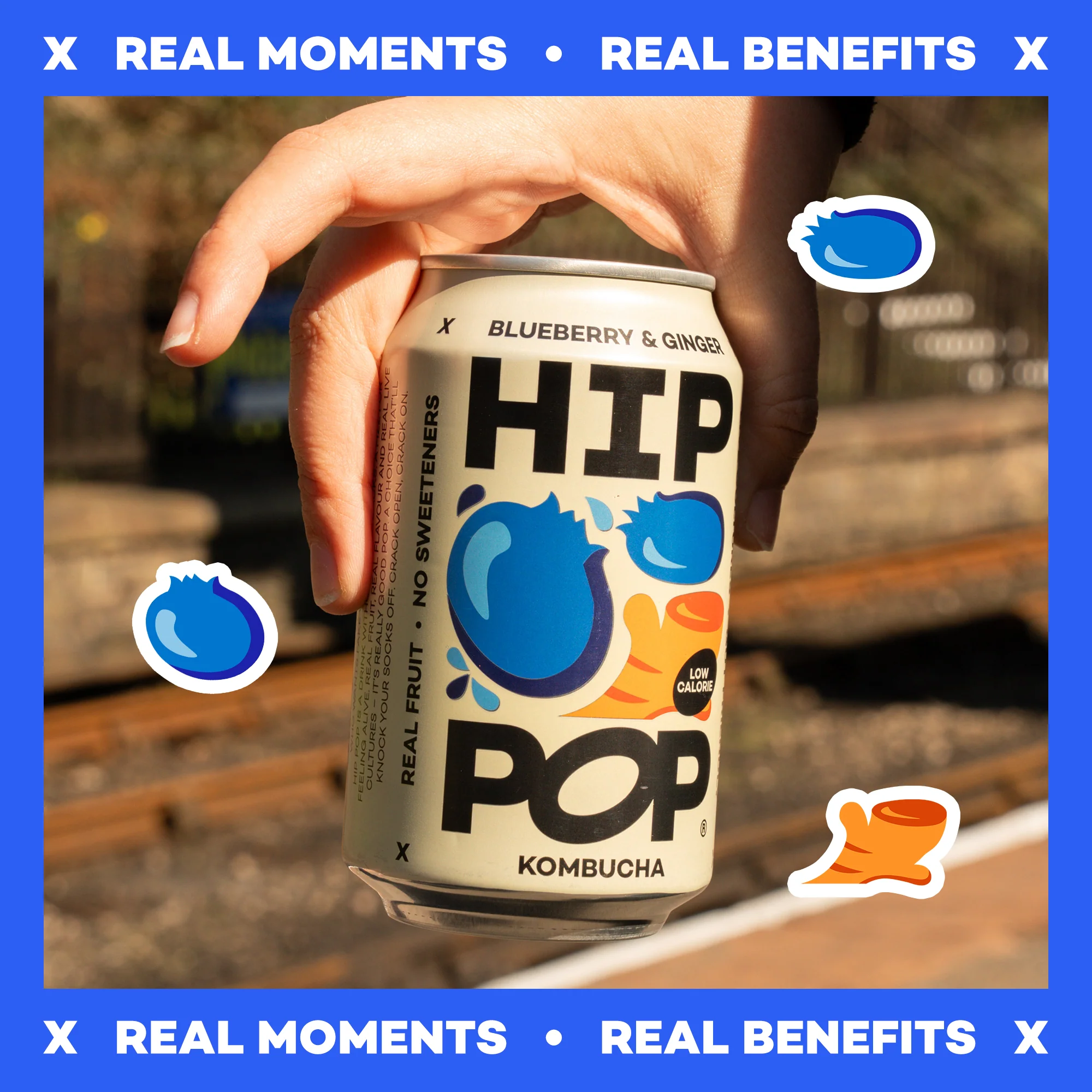 Blueberry & Ginger Kombucha - 330ml Cans - Image 4