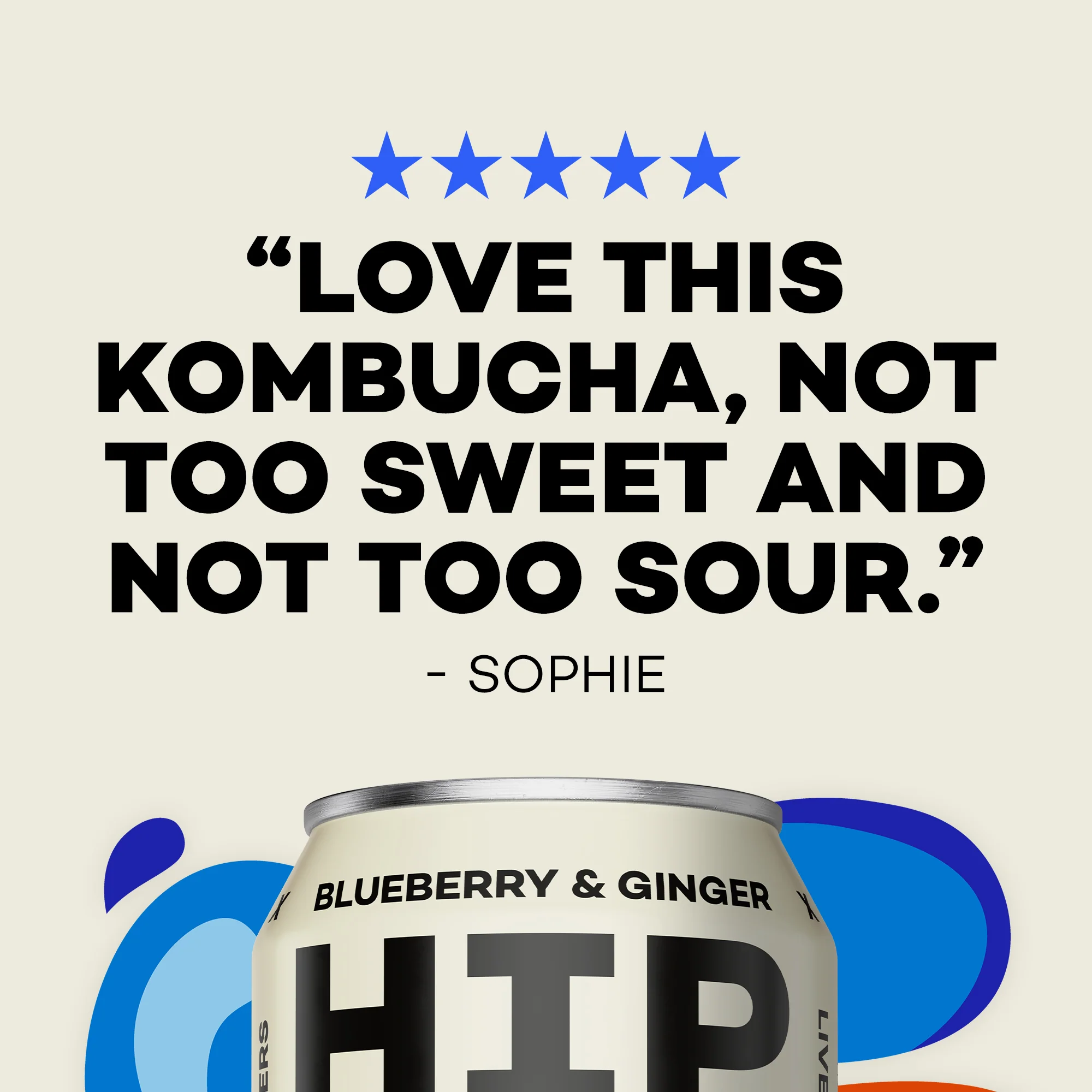 Blueberry & Ginger Kombucha - 330ml Cans - Image 5