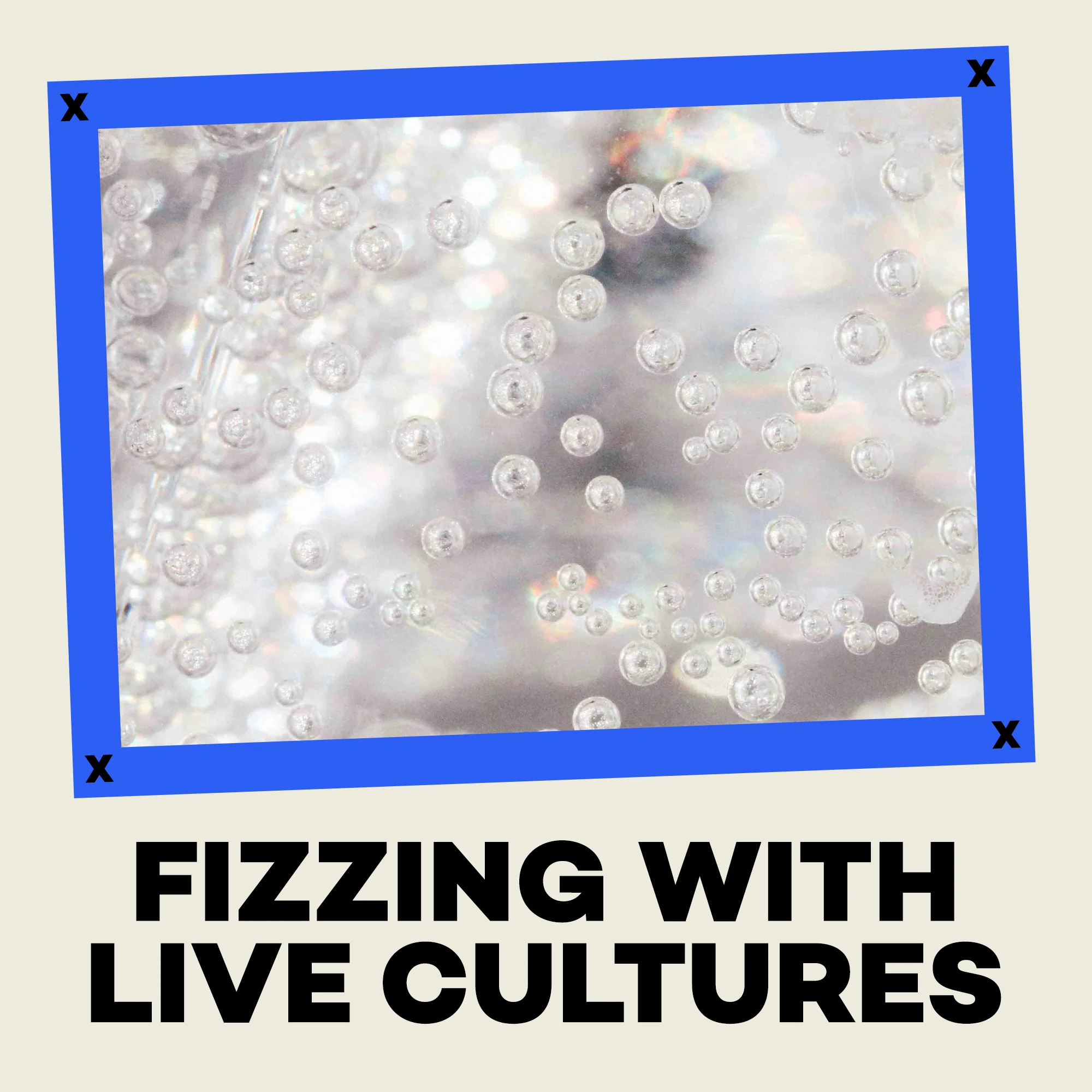 Blueberry & Ginger Kombucha - 330ml Cans - Image 6